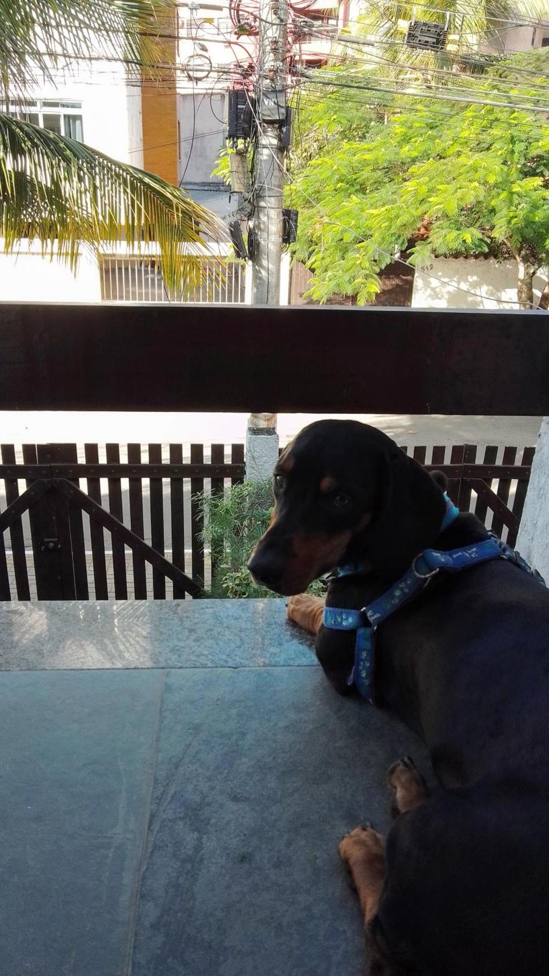 Casa Aconchegante 100M Da Praia Do Forte Cabo Frio Bilik gambar